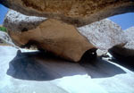 Shahrisabz. Archaeology